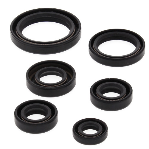 OIL SEAL KIT 822241